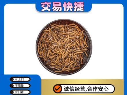 土默特右旗回收散虫草